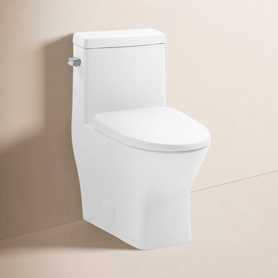 Sublime II 1-Piece Round Dual-Flush Toilet