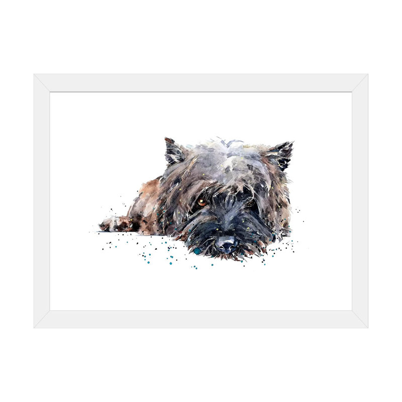 «Cairn Terrier II» par EdsWatercolours - impression, H 16 po x l 24 po x P 1 po, Papier encadré blanc, Blanc