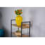 Étagère à livres H 47,2 "x l 21,7" Odle