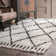 Twinar Geometric Hand Knotted Wool Off White/Dark Gray Shag Area Rug