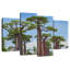 Réserve Harnek Baobab-108871478
