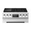 36" Dual-Fuel Professional Range with Steam-Combi Oven and Sous Vide