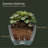 Wetumka Hanging Planter-930531028-930531029