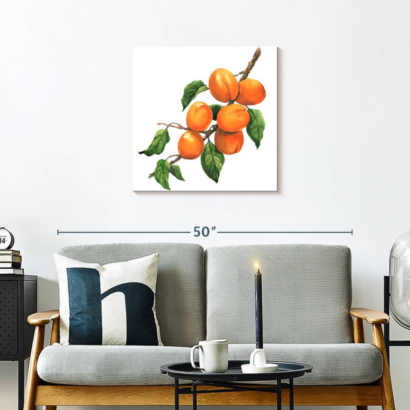 Abricots mûres Yarlin, H 24 po x l 24 po