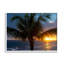 Coucher de soleil sur les palmiers tropicaux par Dennis Frates-2015362519-2015362515