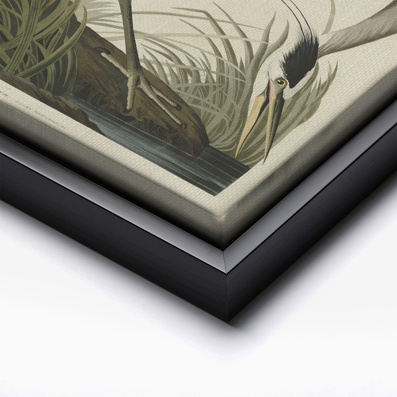 John James Audubon - Grand héron bleu, 18"H x 24"W, Canvas, Black Framed