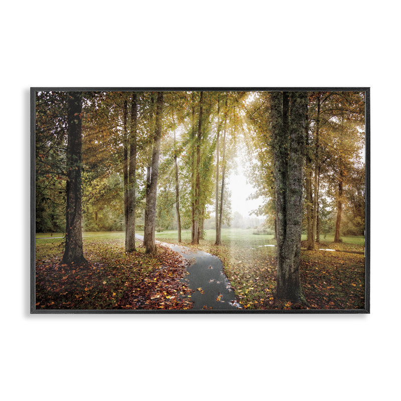 Suivre «The Light Forest Path», estampe numérique, design par Celebrate Life Gallery, H 12 po x l 18 po