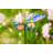 Weather Resistant Glass Insects Garden Stake