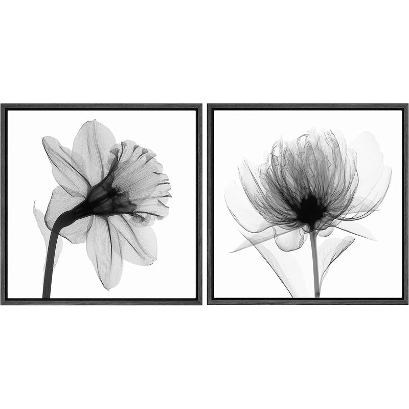 Minimal Botanical " X-Ray Water Lily Closeups " 2 Piece Art Graphic Art Print, 24" H x 48" W x 1.5" D, Black