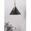Tescott Iron LED Armed Sconce