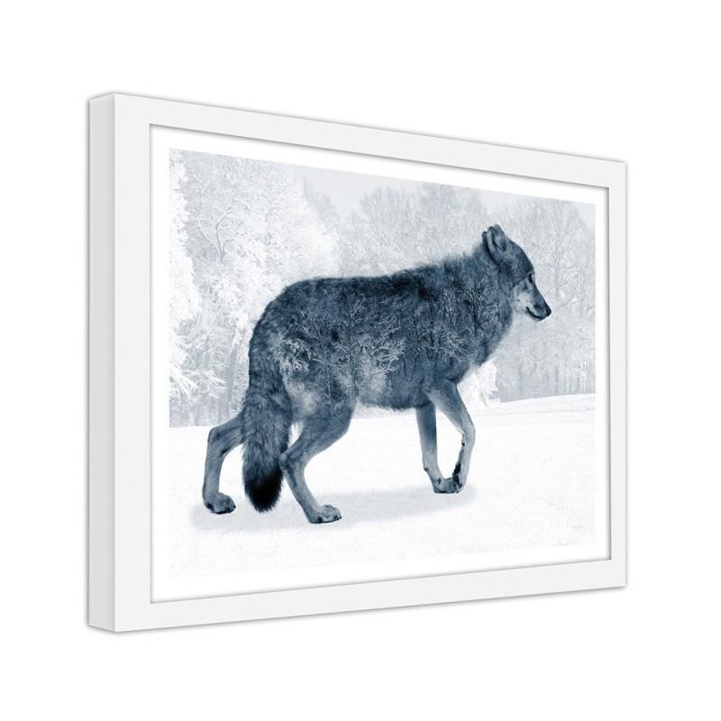 Gerahmter Fotodruck Grey Wolf