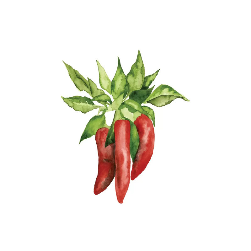 Watercolour Veggie II by Naomi McCavitt - Wrapped Canvas Painting, 30.48 cm H x 45.72 cm W