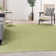 Nourison Essentials Green Indoor/Outdoor Area Rug