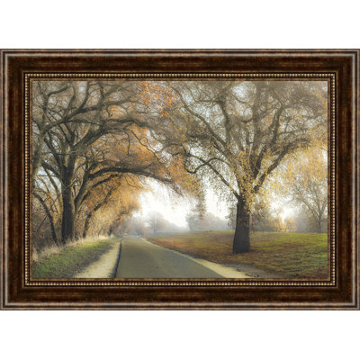 " Gentle Morning "