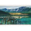 Monfort Area Rug-268468592