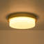 Brass LED Opal Glass Round Ceiling Light