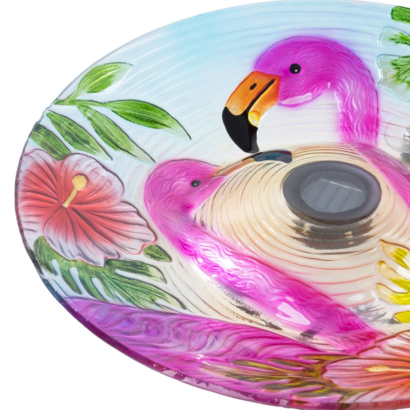 Bain solaire d'oiseaux flamant rose
