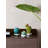 Opuntia Cactus Night Approaches-101945152