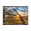 No Frame Print on Canvas-1966625096