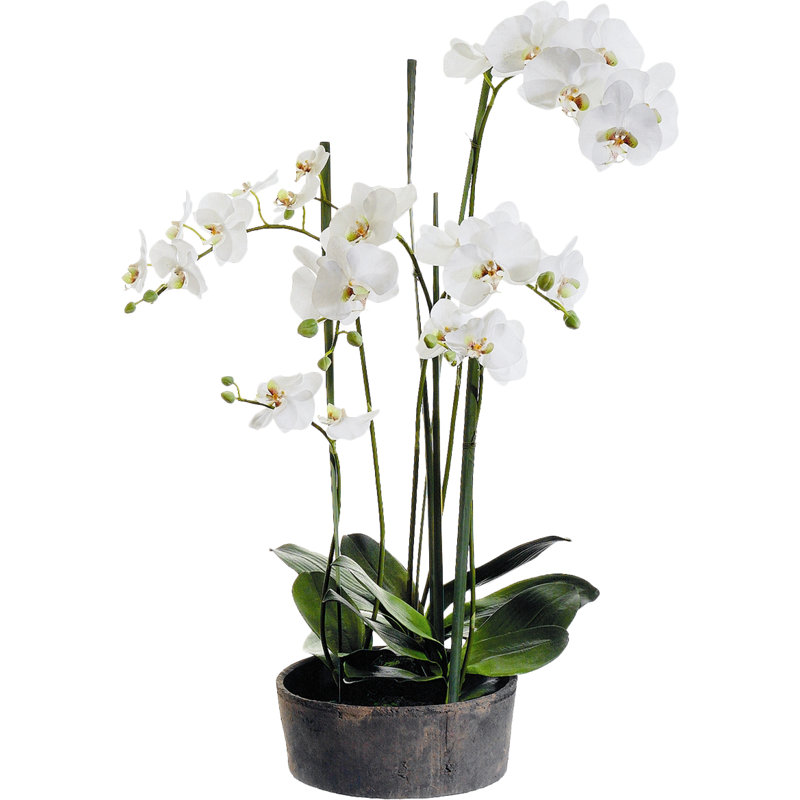 Ceramic Orchid Arrangement in Pot
