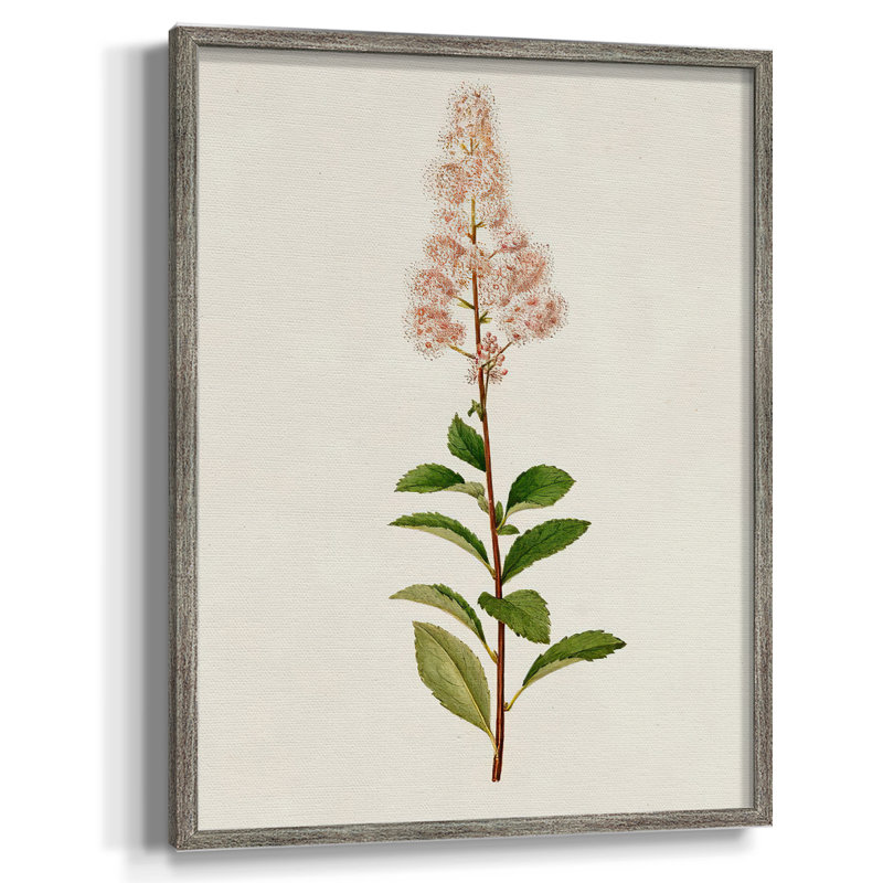 Mauve Garden Flowers II, reproduction encadrée - bois massif, H 15 po x l 12 po