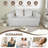 Loveseat Couch With Two Back Cushions