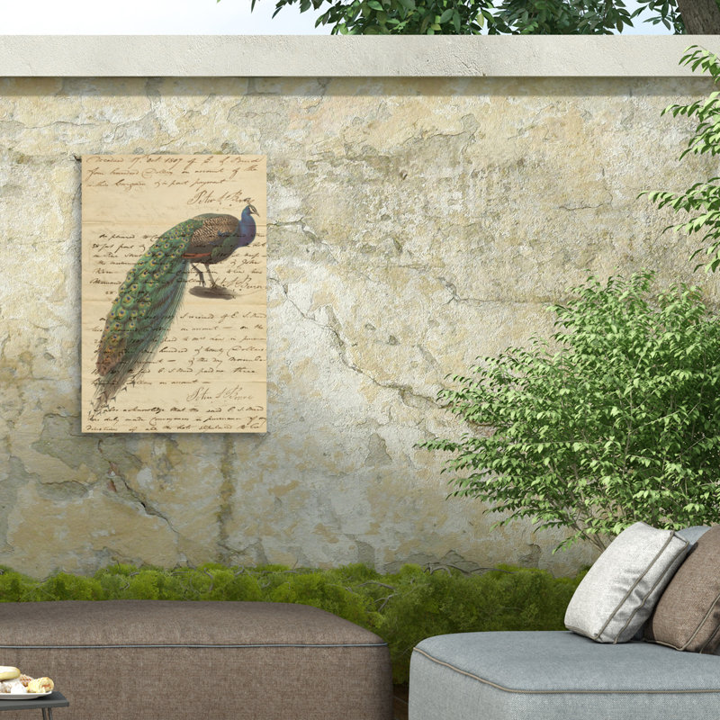 Toile d'extérieur Marcus Jules Peacock, H 12 po x l 19 po
