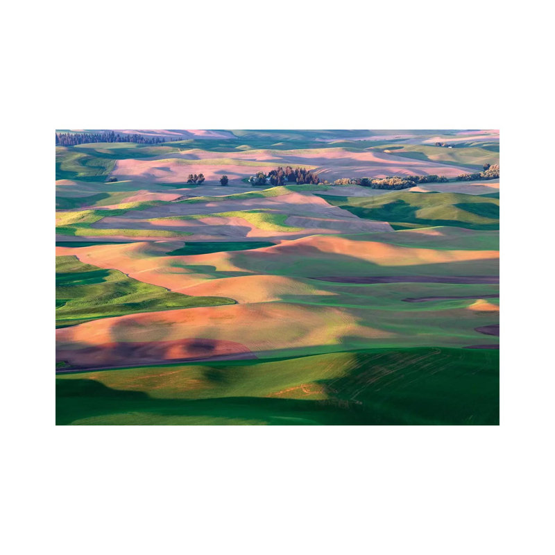 Palouse Spring 1 Piece Wrapped Canvas Wall Art, 30.48 cm H x 45.72 cm W