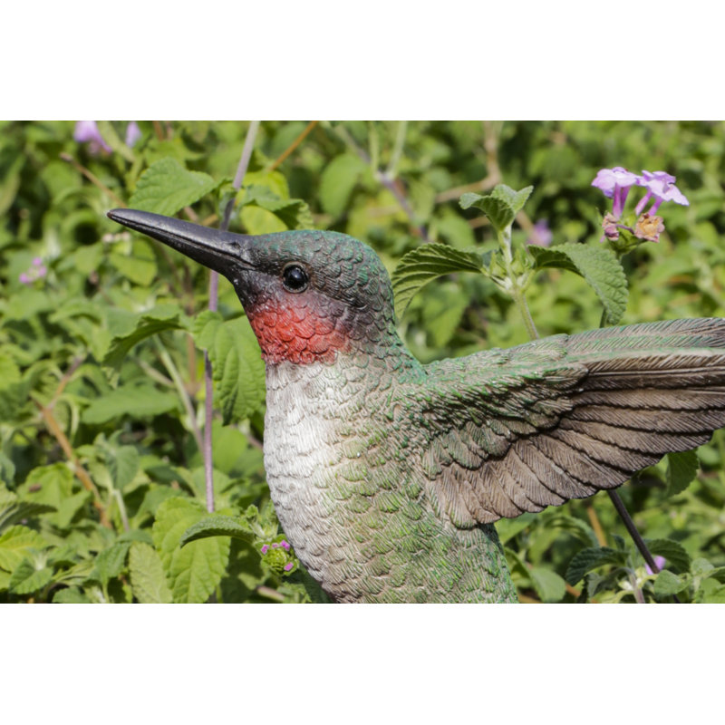 «HUMMINGBIRD» MOULÉ PAR MOTION SUR FOXGLOVE