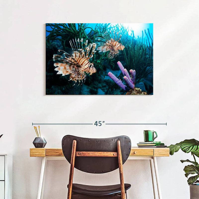 Brampt Atlantic Ocean Lionfish, 24" H x 36" W
