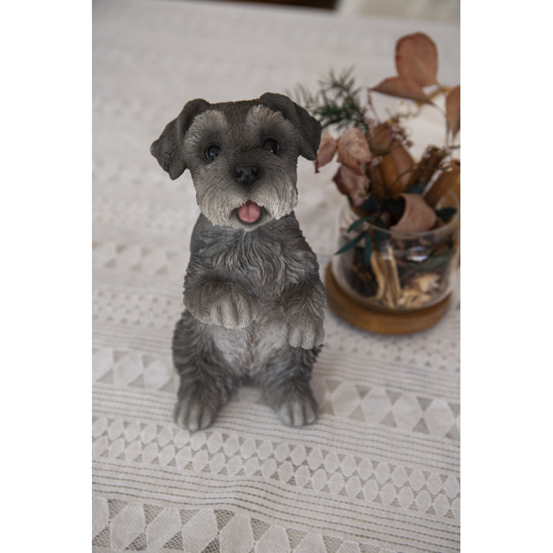 Schnauzer miniature assis