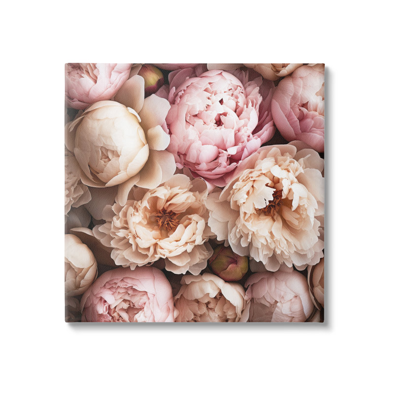 Photographie de pivoines douces par Riley B, H 30 po x l 30 po x P 1,5 po