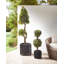 Amariana Handmade Pot Planter-855106019