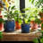Modern Textured Ceramic Planter with Saucer-1167177255-1167177245