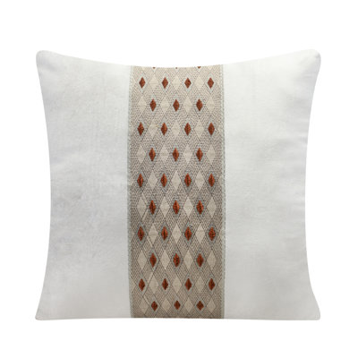 Throw/Decorative Velvet Pillow