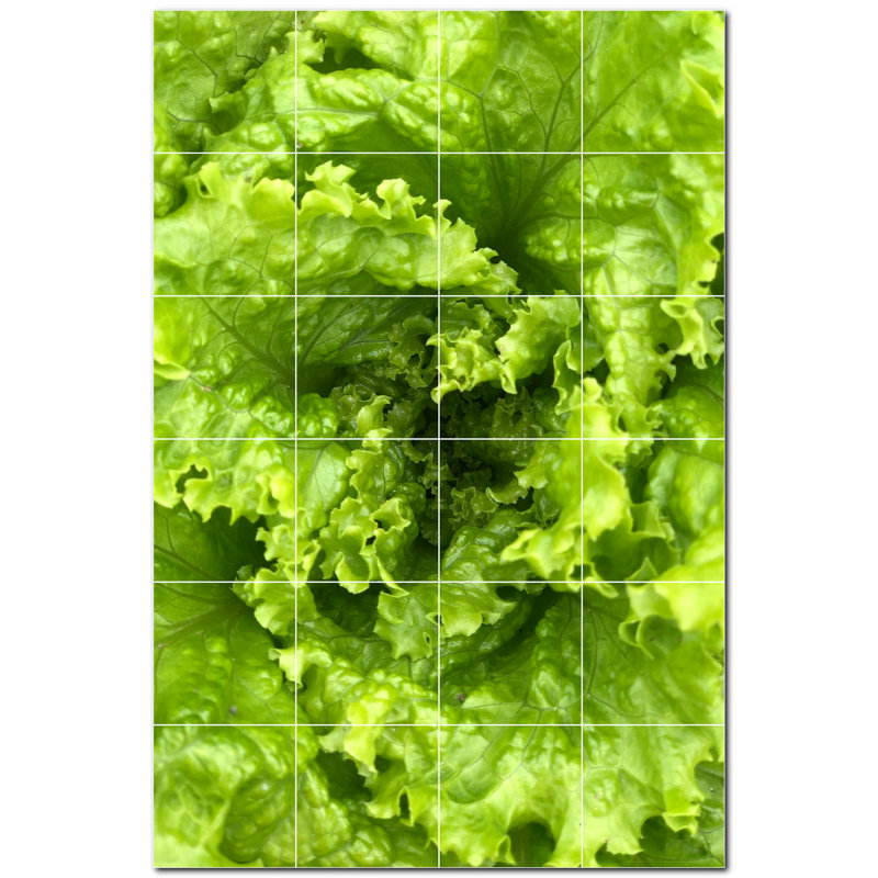 Fruit Photo 8 in. x 8 in. Ceramic Decorative Mural