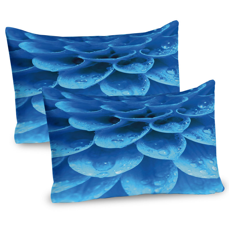 Ensemble de 2 taies décoratives bleues Ambesonne, H 20 po x l 26 po