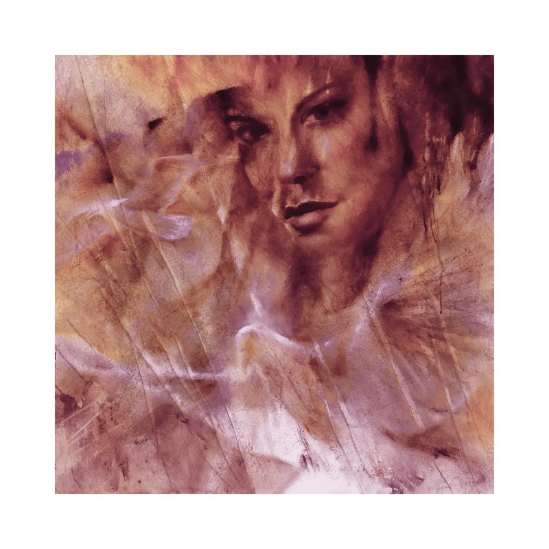 Dove, Seagull And Jana by Annette Schmucker - Wrapped Canvas Print, 45.72 cm H x 45.72 cm W