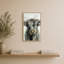 Vache Highland-276928945-276928947