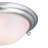 Lunar 2-Light Indoor Brushed Nickel Flush Mount Ceiling Fixture with Alabaster Glass Bowl-482517196-466802762