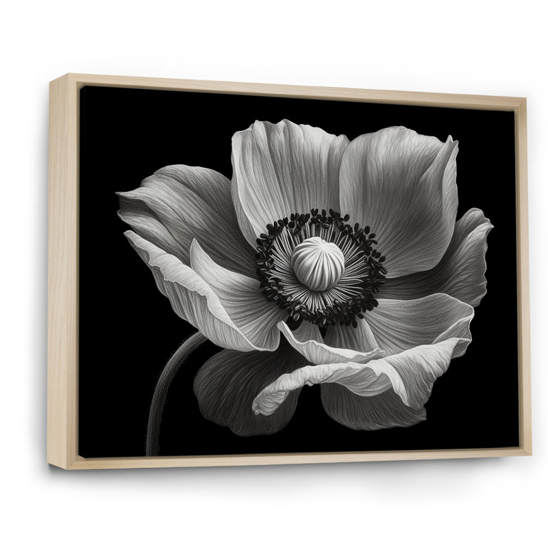 Coquelicots noirs et blancs sur toile, H 30 po x l 40 po x P 1,5 po, Cadre naturel flottant