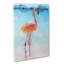 Lone Flamingo In Abstract - Wrapped Canvas-55311761
