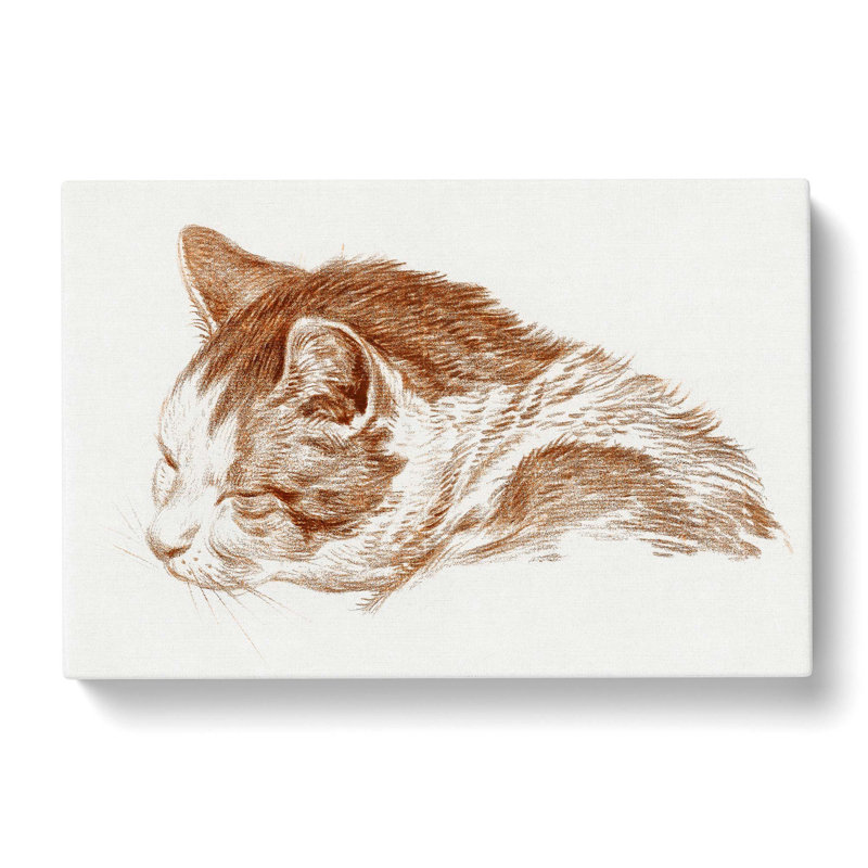 Illustration of a Cat by Jean Bernard - Wrapped Canvas Painting Print, 35cm H x 50cm W x 3cm D