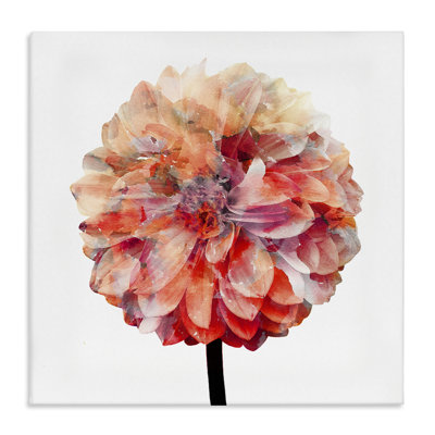 Bright Coral Watercolor Bloom Dahlia Flower by Kimberly Allen - Painting Print