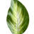 Artificial Hosta Plant-298598048