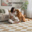Tapis beige à poils longs lavable à la machine-120891368