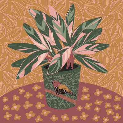 Stromanthe Triostar Houseplant 1 Piece Wrapped Canvas Wall Art
