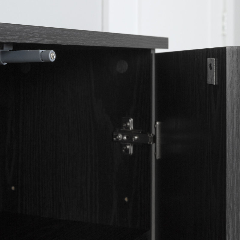Arum 2-Door Sideboard, Black