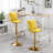 Nakyra Swivel Upholstered Adjustable Height Counter Stool with Metal Frame-1966517520