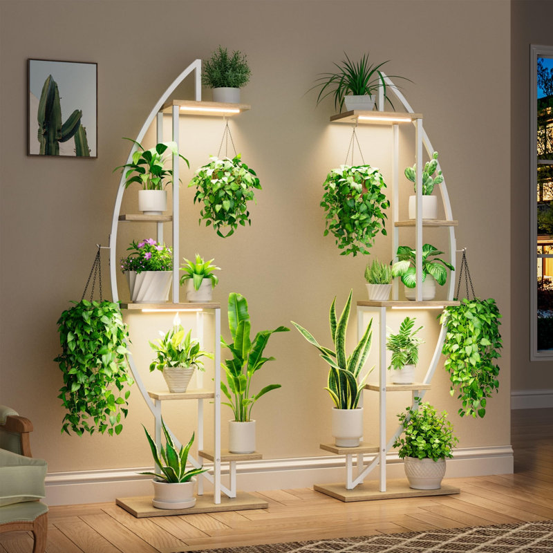 2 Pcs Half-Moon Plant Rack Display Shelf